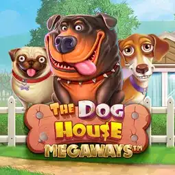 The Dog House Megaways gra w Winwin Casino dla graczy z Polski The Dog House Megaways gra w Winwin Casino dla graczy z Polski